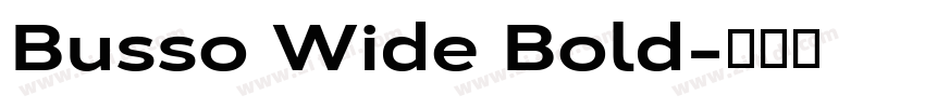 Busso Wide Bold字体转换